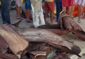 Adolescentes ficam feridos após pneu de motocicleta estourar em Bom Conselho