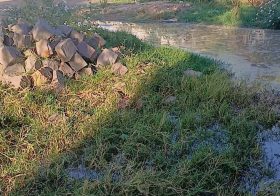 Moradora do Bairro Inaldo Barros em Bom Conselho cobra providências para esgoto a céu aberto próximo a sua residência.