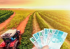SEGURO SAFRA 2026: 2 Mil boletos serão entregues em Bom Conselho.