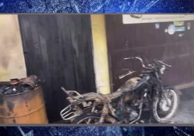 Incêndio criminoso é registrado no Sítio Caibros, zona rural de Bom Conselho