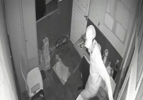 Empresa LM Gás é invadida durante a madrugada e criminoso furta celular e dinheiro em Bom Conselho