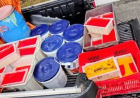 CARGA DE LATICÍNIOS SAÍDA DE BOM CONSELHO É APREENDIDA PELA PRF SEM REFRIGERAÇÃO NA BR-423