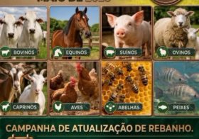 ADAGRO INICIA CAMPANHA DE ATUALIZAÇÃO DE REBANHO 2026 EM PERNAMBUCO