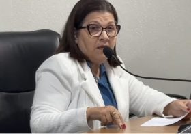 VEREADORA LÉA RAMOS SOLICITOU REFORÇO NO COMBATE À DENGUE E ÀS MURIÇOCAS EM BOM CONSELHO